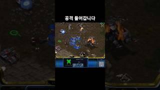공격 들어갑니다 #스타크래프트 #래더 #프로토스 #야생토스 #전략 #빌드