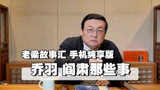 老梁故事汇 乔羽从不喊口号 阎肃写句实话却被删 手机竖幅纯享版