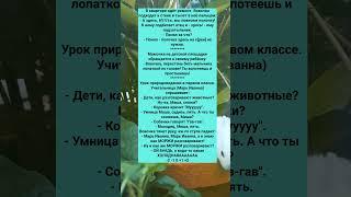 ПОДБОРКА АНЕКДОТОВ ПРО  ВОВОЧКУ #анекдоты #Юмор #История #Жизнь #Анекдот #Прикол #США