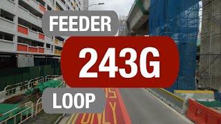 SMRT Buses Feeder 243G | Bus Service Route Visual