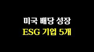 미국 배당 성장 ESG 기업 5개