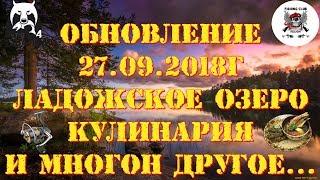  Русская рыбалка 4 Russian Fishing 4 ⏩Обновление 27.09.2018г⏪Ладожское озеро | Кулинария