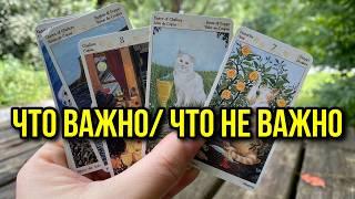 ЧТО ВАЖНО И ЧТО НЕ ВАЖНО? ️ гадание на таро Tarot Reading