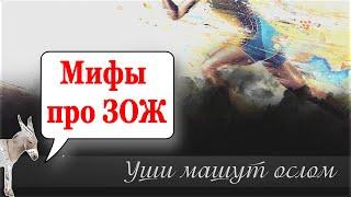 Мифы про ЗОЖ  | Уши машут ослом (101)