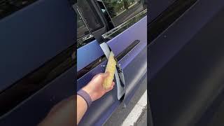 Tesla Model X Doors VS Corn 