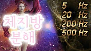 #체지방 분해 #주파수 5Hz/ 20Hz/ 200Hz/ 500Hz #힐링음악  #주파수음악 #Healing Music  #bodyfatdecomposition