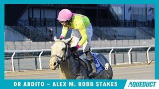 Dr Ardito - 2023 - The Alex M. Robb