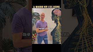 집중력 기억력을 위한 뇌운동. Alan Mandell #건강한습관 #수면유도 #긍정적마인드 #뇌자극 #집중력향상 #기억력향상 #뇌운동