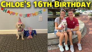 Our Dog Chloe's 16th Birthday Celebration -Taking her to Celebration, Winter Garden, Presents & More