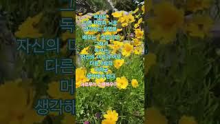 #한국힐링대학교#힐링강사양성국내1위 #100세현역 #인생2막 #평생일자리 #꿈실현출판사 #명언