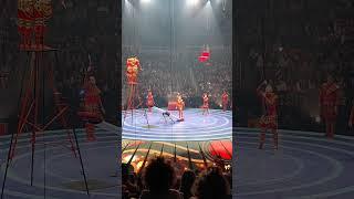 CIRCUS CIRCUS AMAZING
