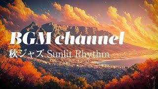 BGM channel - Sunlit Rhythm (Official Music Video)