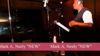 Mark A. Neely "New"