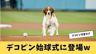 【大谷翔平】デコピン始球式がめちゃめちゃカワイイ【ドジャース】