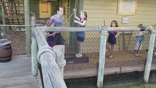 Feeding baby sharks in Florida