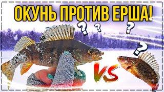 КАК ЛОВИТЬ ЕРША И ОКУНЯ НА МОРМЫШКУ ВЕСНОЙ/ЗИМНЯЯ РЫБАЛКА/ВЕСЕНЯЯ РЫБАЛКА/В АПРЕЛЕ/СОРОГА/НА ОПАРЫША