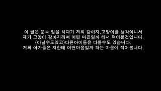 내가 강아지라면 내가 강아지가 된다면 내가 고양이라면  내 보호자님한테... 강아지 마음 댕댕이 슬픔 감동 사랑 개 고양이 마음 큰 개 작은 개 오브차카