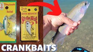 How to caught Stock Trout with Crankbaits