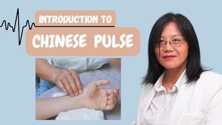 Introduction to Chinese Pulse Diagnosis | You know a lot already! 【Pulse Diagnosis Course: Part 2】