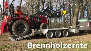 Brennholzernte im Privatwald | wood logging in private forest