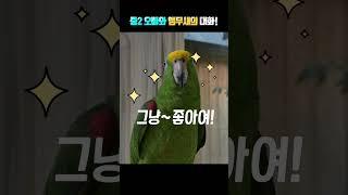 오빠와 별이 (아니 아빠한테 하필)