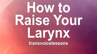 The Art of Voice Feminization | Part 2A: Larynx Basics, How to Raise the Larynx, and Common Issues