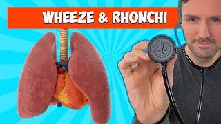 Wheeze and Rhonchi 🩺 🫁: Lung Sounds For Beginners 