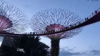  Singapore  Day Tour - Visit Singapore