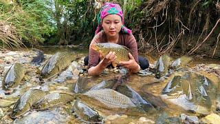 How to catch giant fish to sell at the market - Daily life of mute girl and 3-legged dog | Lý Tử Cai