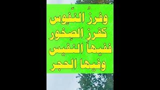 حكم واقوال عالمية تغير تفكيرك. وبعضُ الوعودِ كبعض الغُيُوم قويّ الرعودِ شحيحُ المطر.
