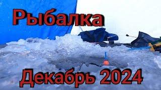 Рыбалка на поплавок 22 декабря 2024 г. на дикой реке!Ловля карася на мотыля.Зимнняя ловля карася.