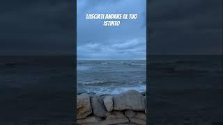 L'istinto