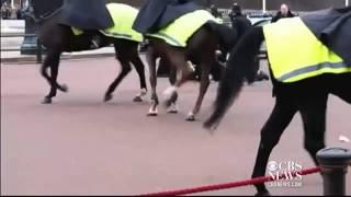 Police Taser Man with knives at Buckingham Palace