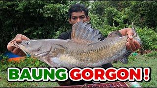 Mr. Beast Cat Fish! | Tajur Baung Saiz MEGA! Hasil Tak Banyak Tapi REZEKI Tak Disangka!