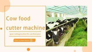 Cow food cutter machine | grass cutting machine for cow feed price