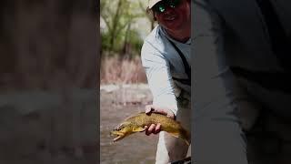 Fly Fishing for trout in the Rocky mountains