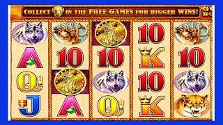 CASINO SLOTS TODAY I HAVE SPENT $2100 ON BUFFALO GOLD ARITOCRAT MACHINE REAL RESULTS #casino