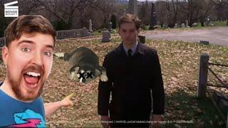 POV Mrbeast kills my dog