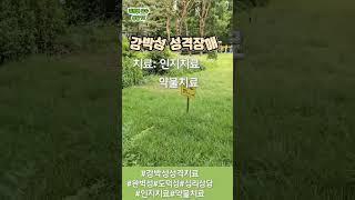 #강박성성격장애치료#완벽주의#진단기준#지나친도덕성#스케줄에따라#선천적 #후천적