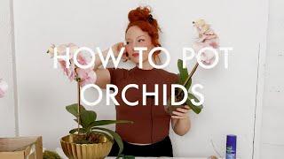 How To Make a *DECORATIVE* Orchid Planter | FLORA LUX