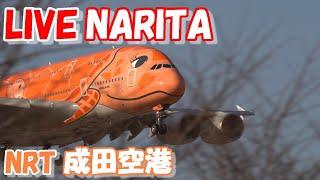 LIVE at NARITA International Airport Plane Spotting　2024.05.17　成田空港ライブカメラ 成田空港　NRT/RJAA