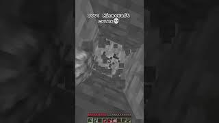 Minecraft Caves #minecraft #minecraftshorts #memes #minecraftmemes #funny #rofl #cave #shorts