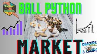 The Ball Python Market! What Happened?