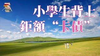 一张卡片卖16万，小学生背上巨额“卡债”