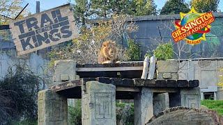 Trail of the Kings Walkthrough 4K at Chessington World of Adventures