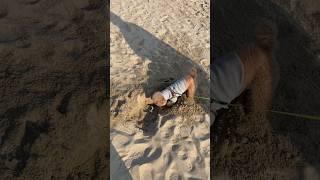모래파는 김국희