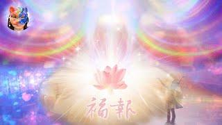 110. The relationship between Karmic Reward and the Law of Manifestation. | Violet Twin Flames