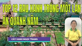 Top 12 LOẠI RAU XANH TRỒNG MỘT LẦN ĂN QUANH NĂM |Rau Sạch| |Rau Củ Quả|