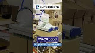 Elite Robots All-in-1 Palletizing - Meat factory East Europe