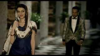 Feem I Jazzy B I Partners In Rhyme I DS I Cut Like A Diamond I Devang Desai (Official Video)